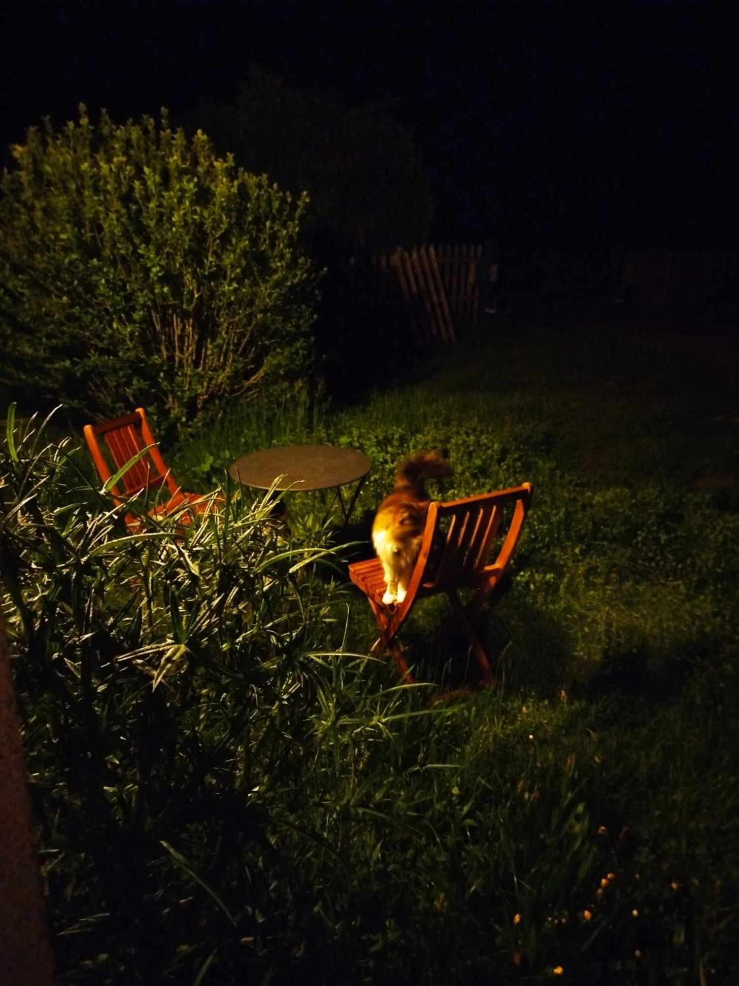 Gite Des Fours Agonges Exteriér fotografie