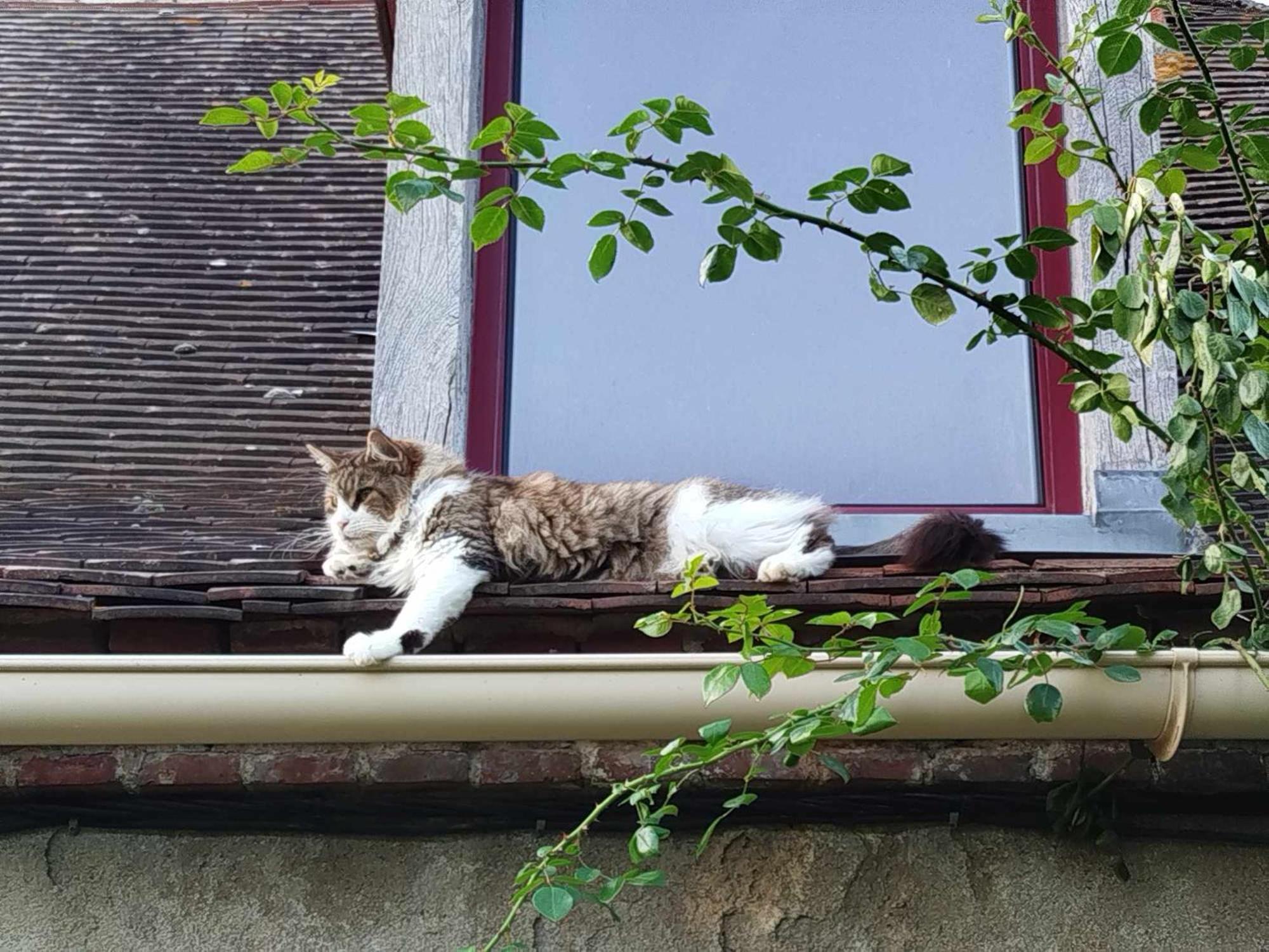 Gite Des Fours Agonges Exteriér fotografie